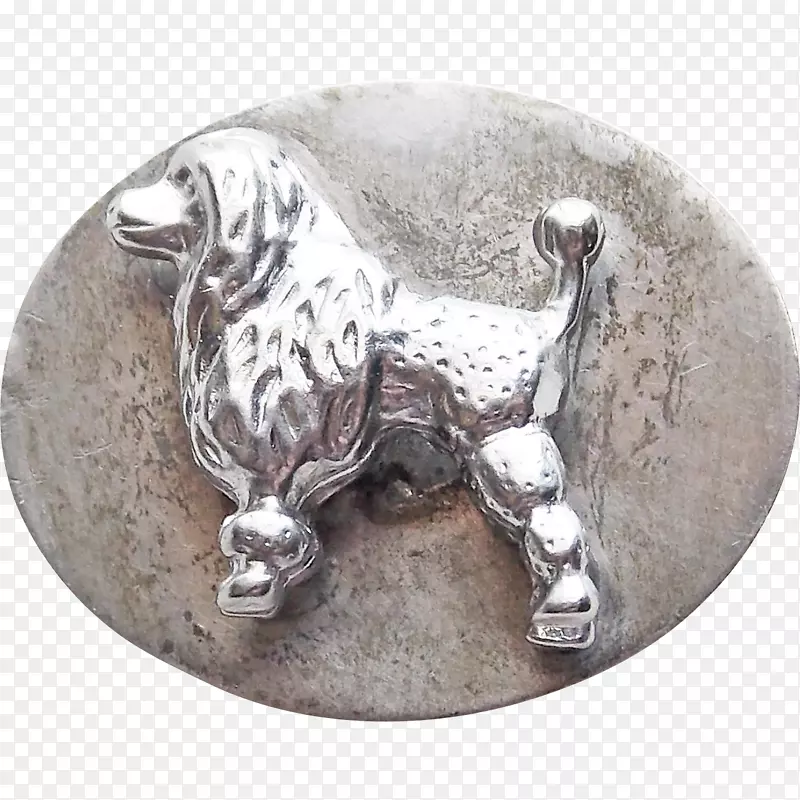 ���;�-��-������