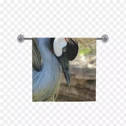 �������ë-������