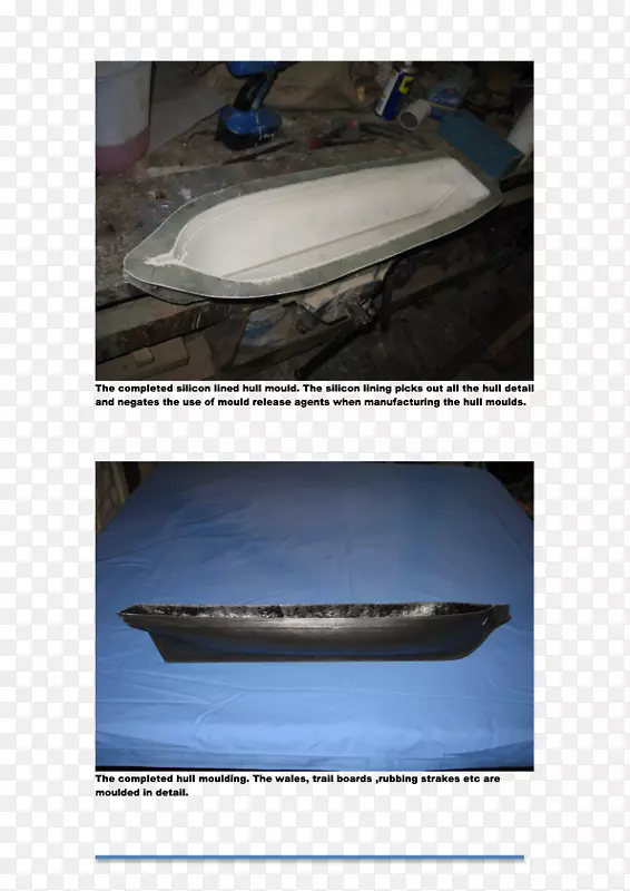 ���ո�08854ֲ��Ⱥ�����-������