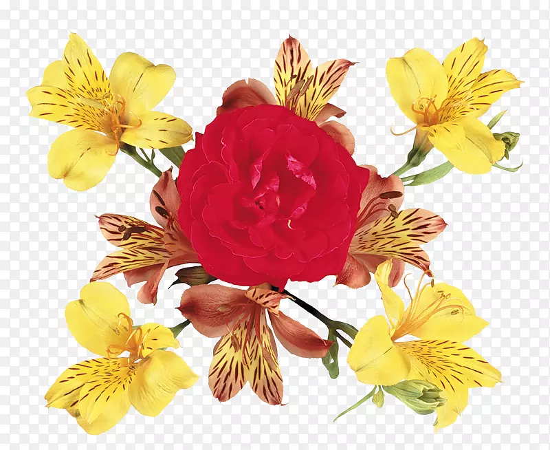 ʯ����л��������滨-������