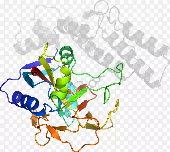 ƽ������ߵ��������-������