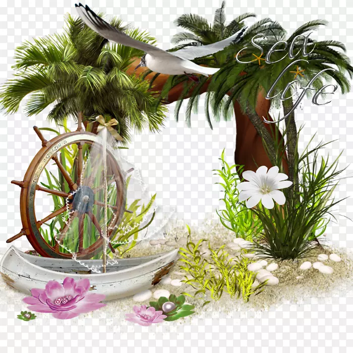 �����Ӱ����-������