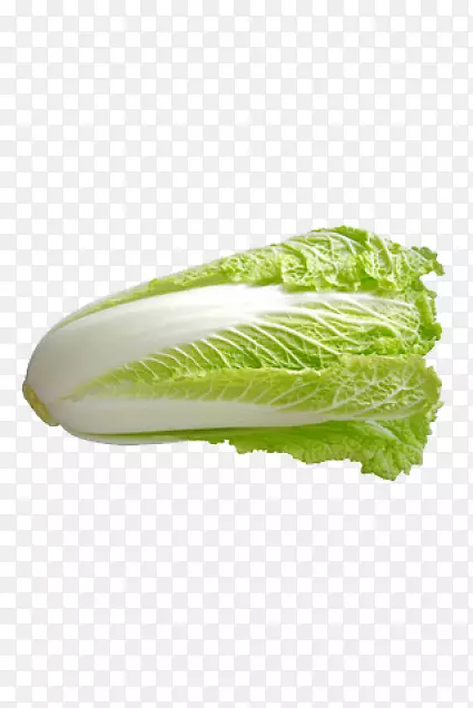 ��ϵ��ײ��߲�-������