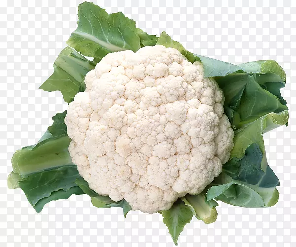 ��Ҭ�˲˻���Ⱥ-��Ҭ��-������