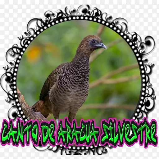 Android�����ͼ����-Android-������