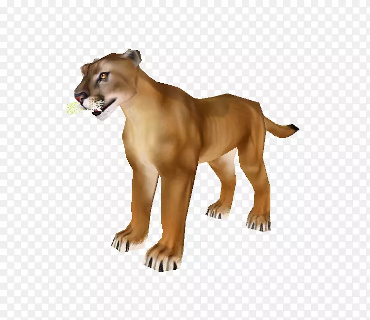 ����ʨ��è½������-è-������