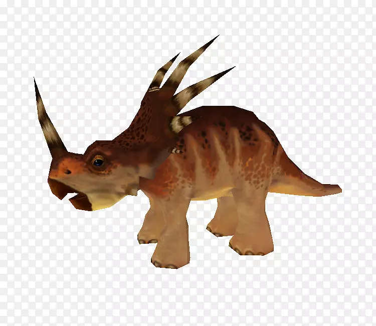 ����½������-����-������