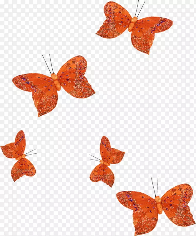 ��ɫ����-������