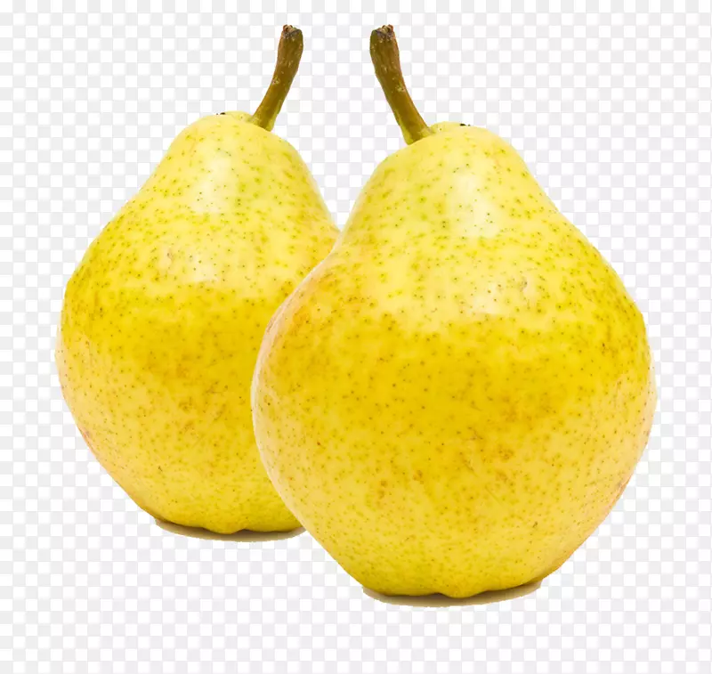 ŷ���������-������