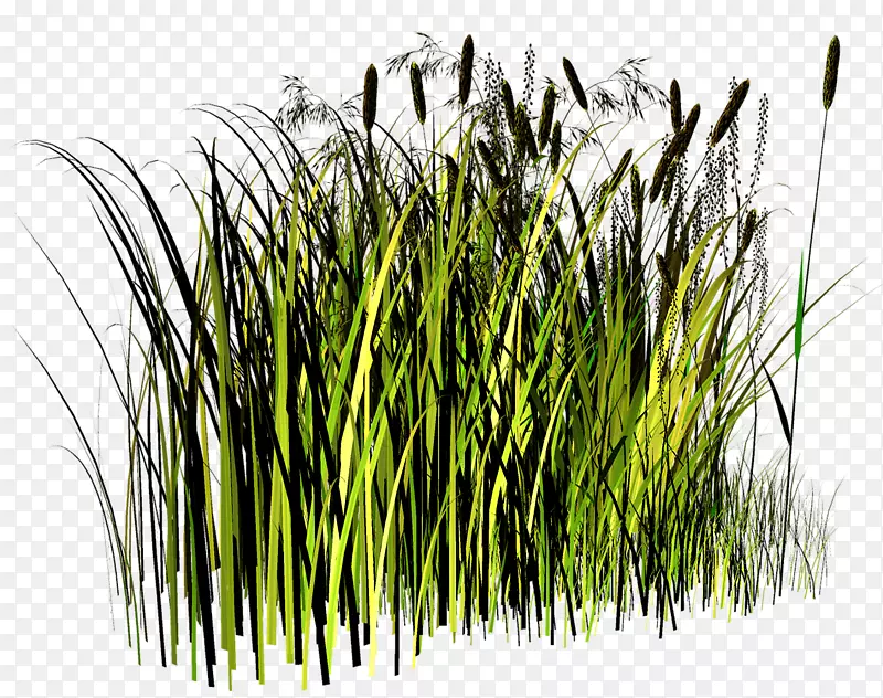 �ոѼ�����-������