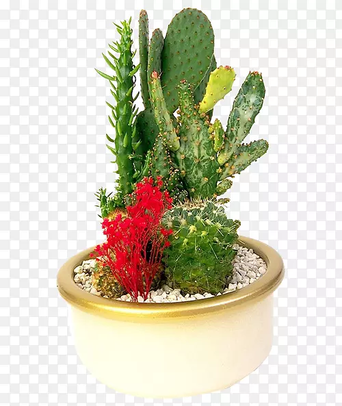 ���Զ�����辰�����ƿ�����������-������