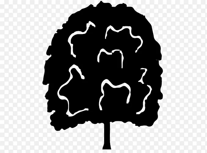 ������Ϊ����������-������