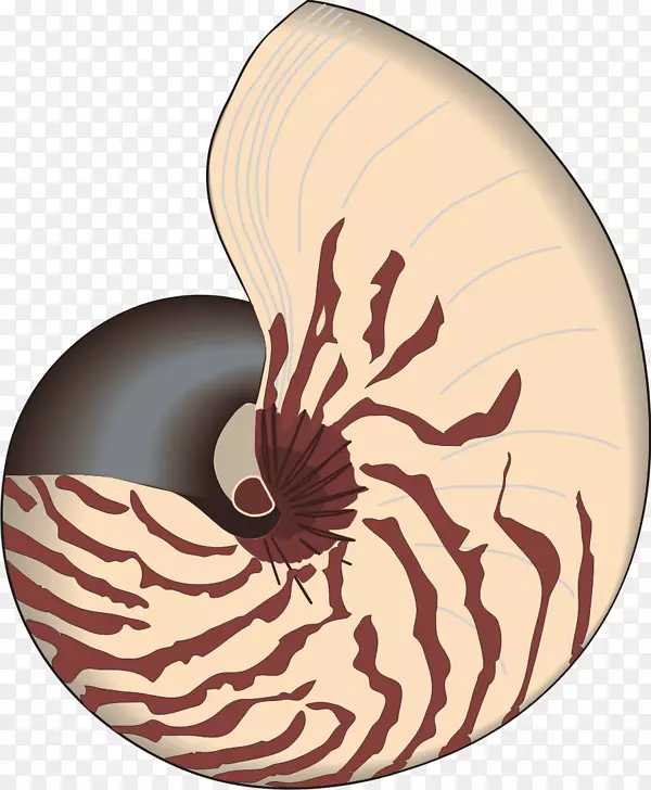 ��ѧ������-����-������