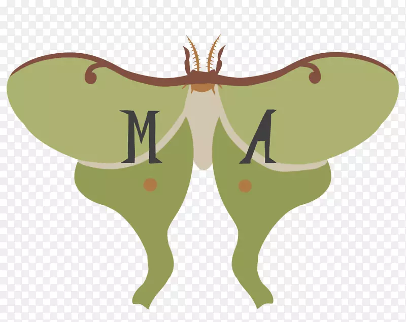 �ɶ��������-����-������