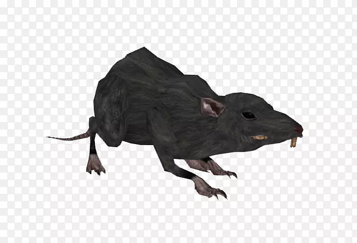 ����½���������Ұ������.����-������