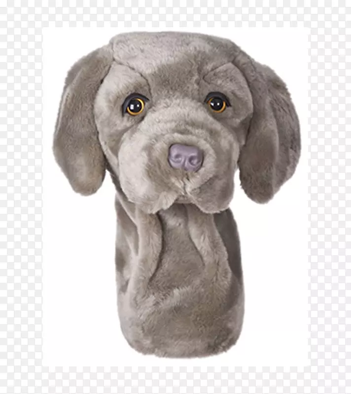 �Ĵ���������Ȯ�߶������-�߶���-������