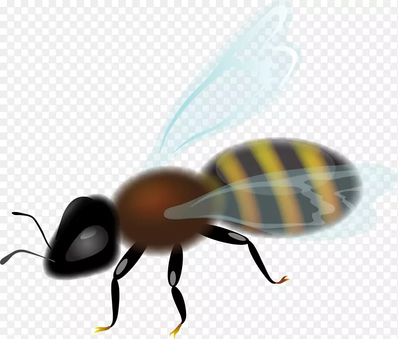 �۷�����䳲������-�۷�-������