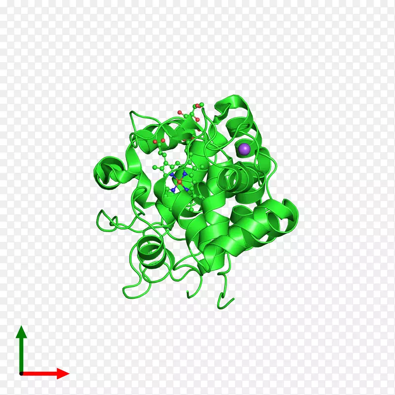 ���߼�����-��-������