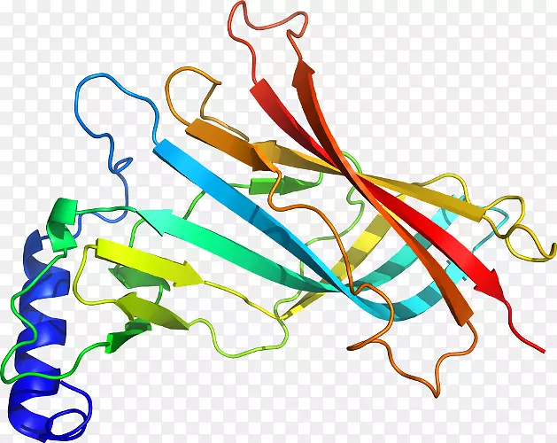 �ߵ������������-������