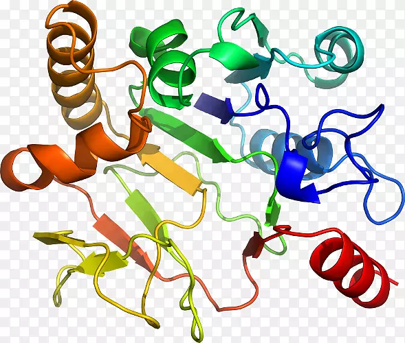 �ߵ������������-������