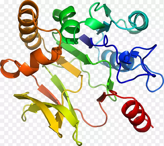 ���������л����߼�������-������