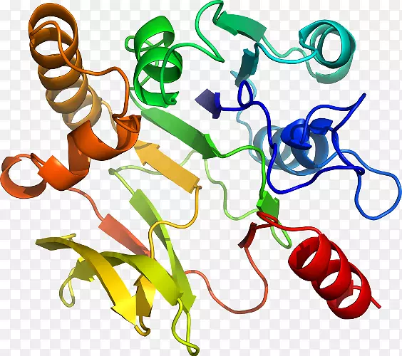 ���������л����߼�������-������