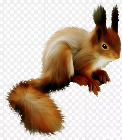 ���Ĳ���������-������