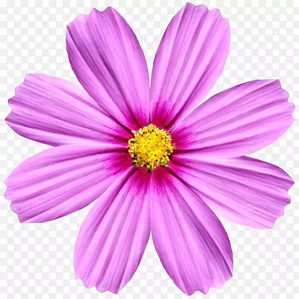 ��ת�л��ԳƱ任-��-������