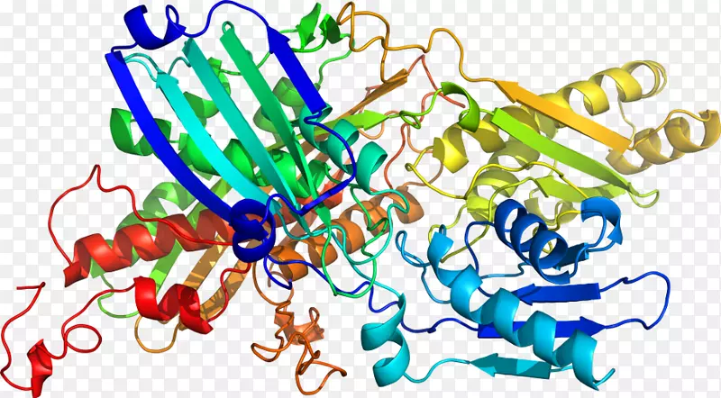 ƽ������ߵ��������-������