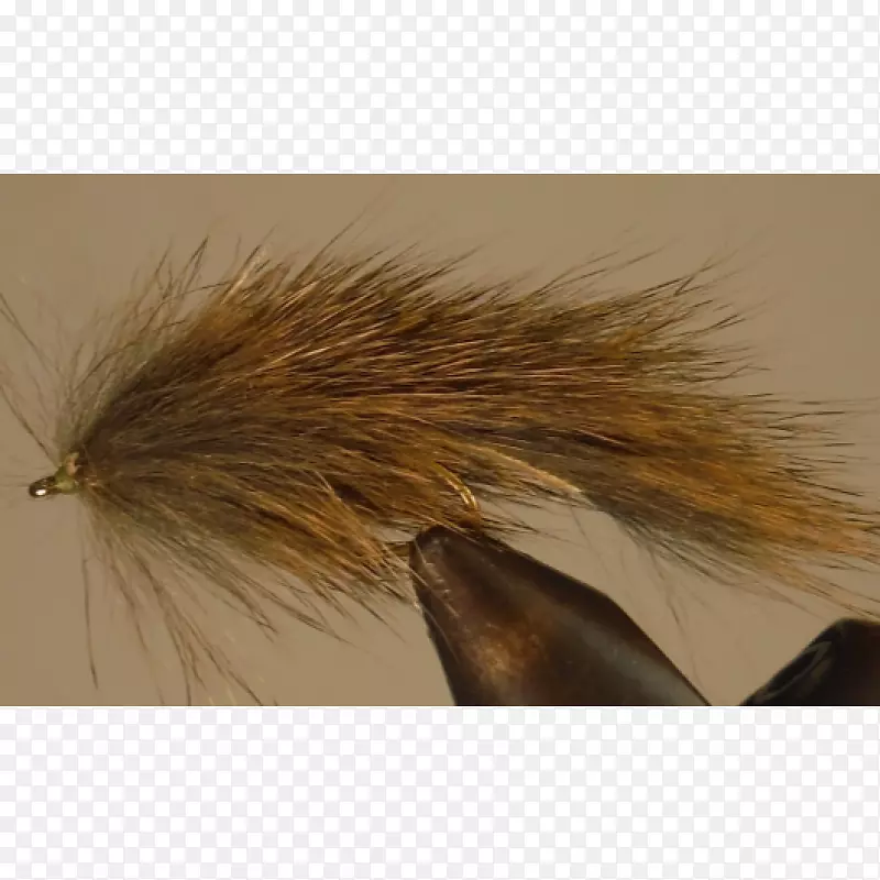 ëƤ�ݿ�-������