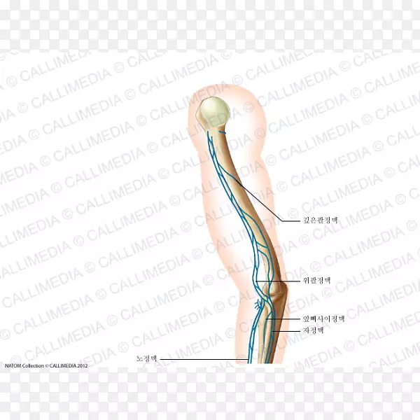 ָ�羱���-������