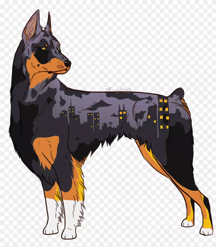 �Ĵ�����è��Ȯ�Ĵ����Ǻ����Ĵ�����ţȮ��ֳ�����굶Ȯ������-�Ĵ�����-������