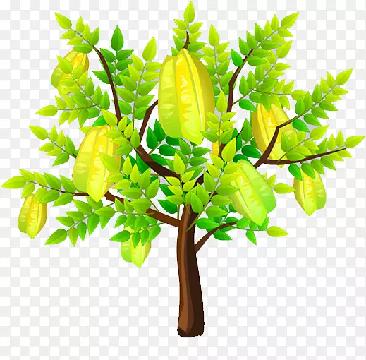 ����-����-������