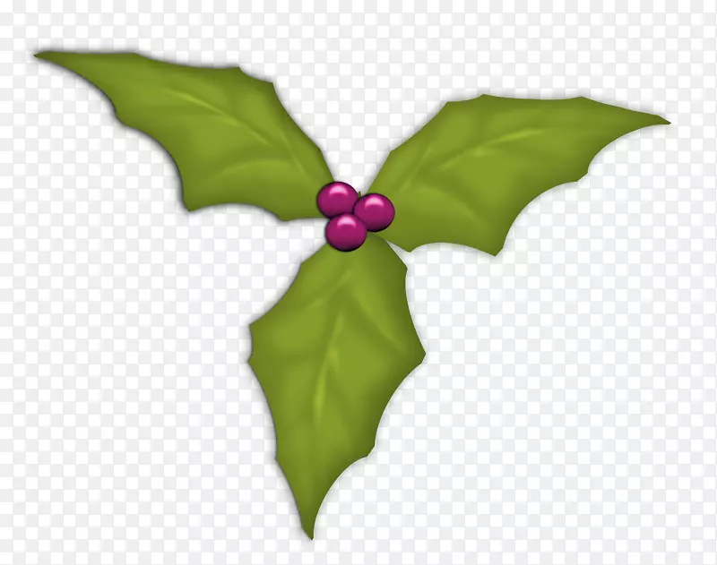 Ҷ����ֲ��-Ҷ-������