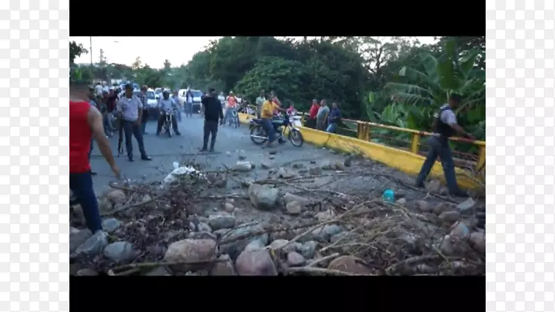 ������ʳ���������.��-������