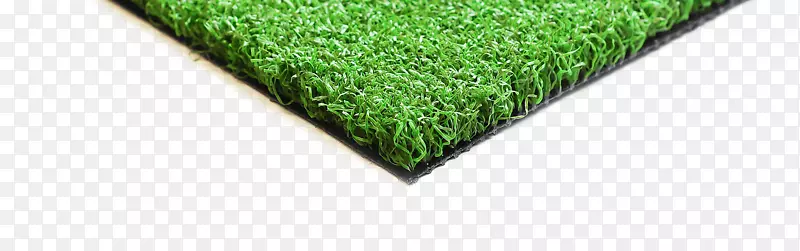 �ݿ�-������