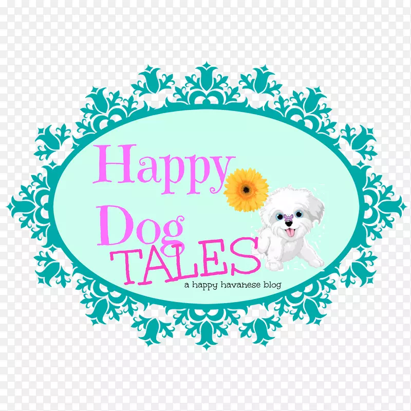 ��������YouTube-������