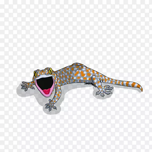 �鱦����-������