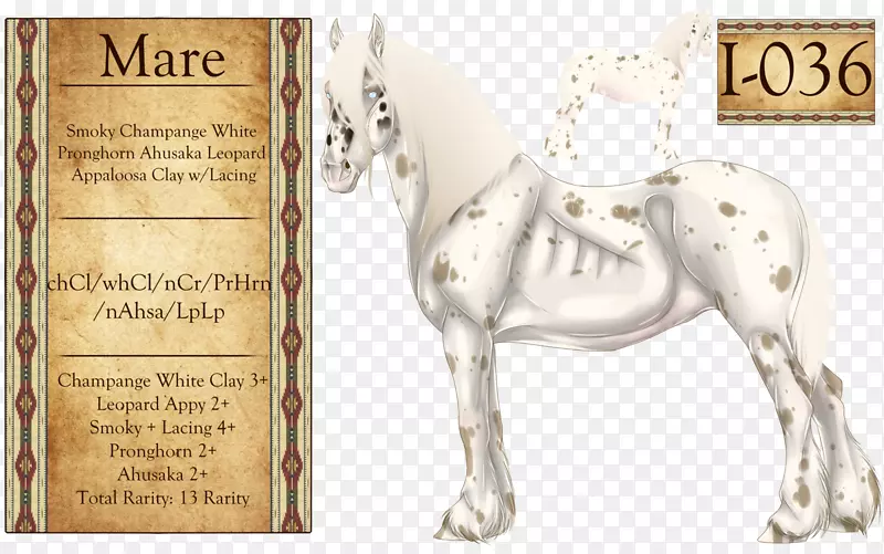 ��װ����-����-������