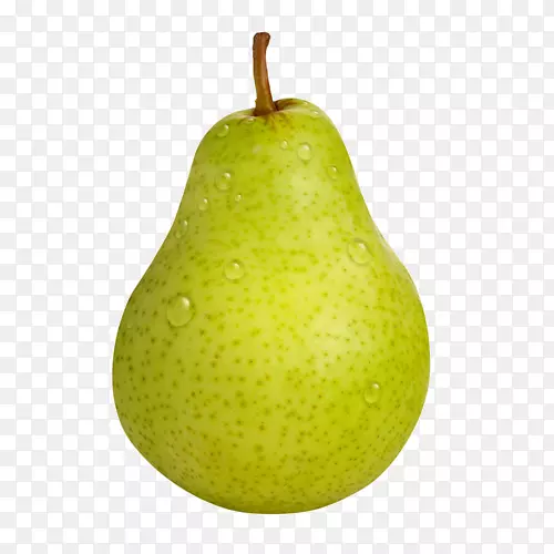 ��ƻ���������ָ̳���-������