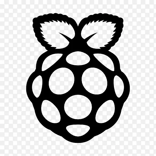 raspberry pi 3��װ������������Ǳ��ͻ���-������