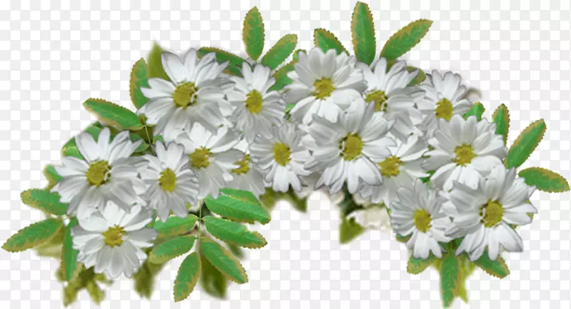 ����������-������