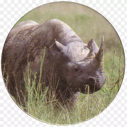 Ұţ½���������Ұ���������Ұţ-������