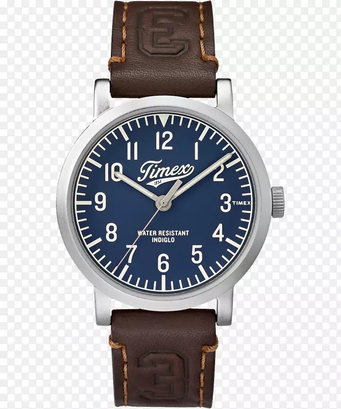 Indiglo Timex����������˾ģ�����̬������-������