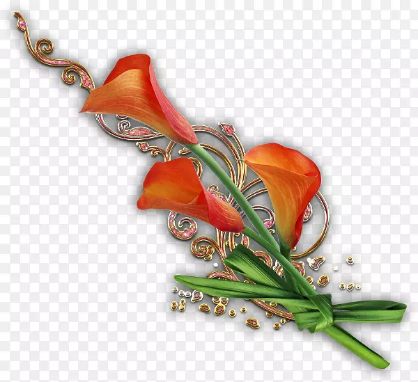 �л�-������