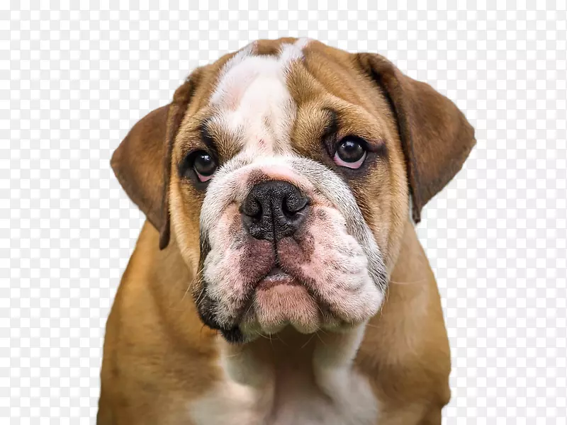 ������ţȮ�ȶ�ţȮ-������