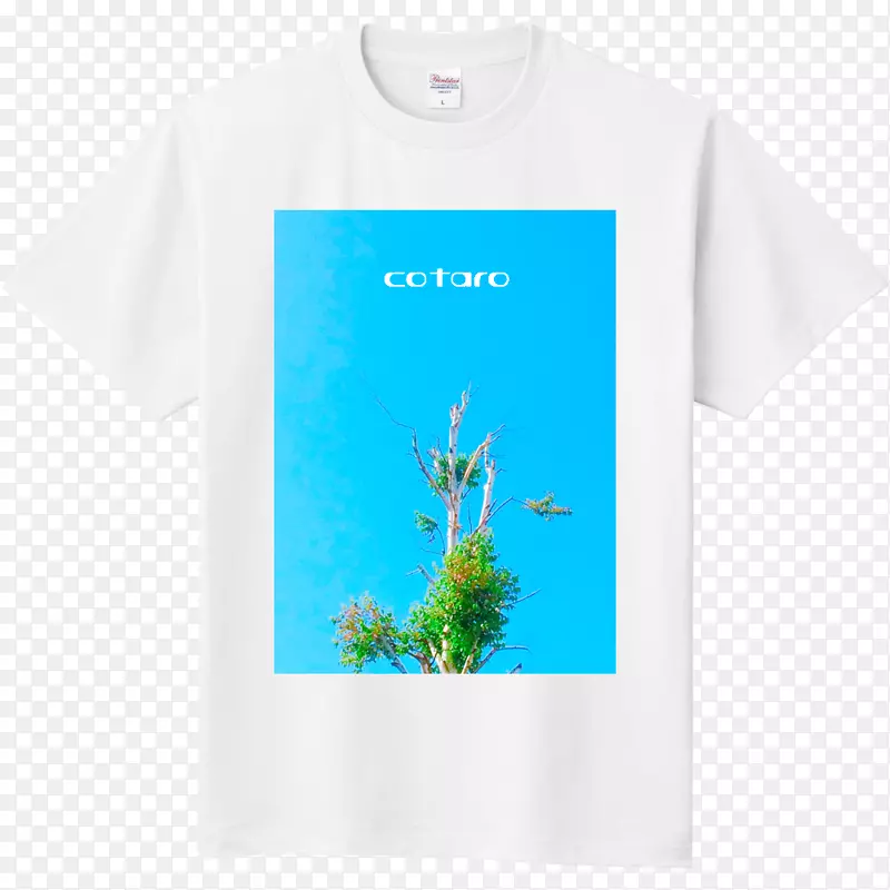 t���ձ���������t��-������