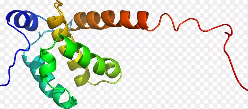 �ߵ������������-������