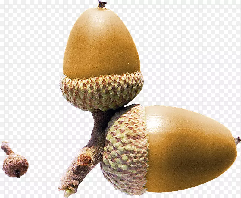 ���Ӽ�����-����-������