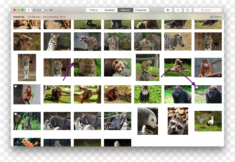 ƻ����ƻ������-������